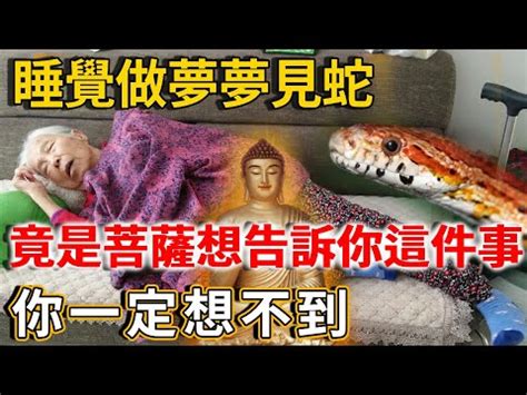 看到死蛇代表什麼|「夢到蛇」代表什麼？7種夢到蛇常見夢境解讀一次看，夢到蛇「。